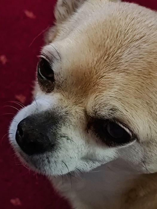 Close-up of Bailey's face in profile